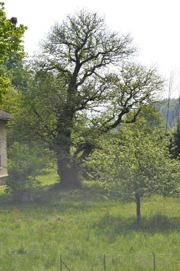 L'Echo Des Montagnes Ξενοδοχείο Armoy Εξωτερικό φωτογραφία